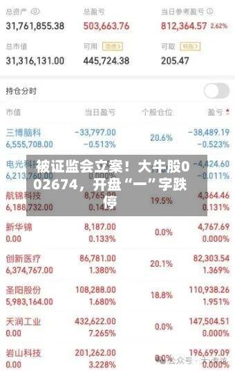 被证监会立案！大牛股002674，开盘“一”字跌停-第2张图片