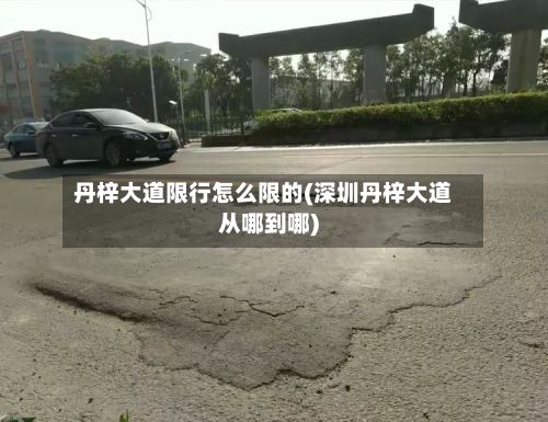 丹梓大道限行怎么限的(深圳丹梓大道从哪到哪)-第2张图片