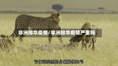 非洲排华疫情/非洲排华疫情严重吗