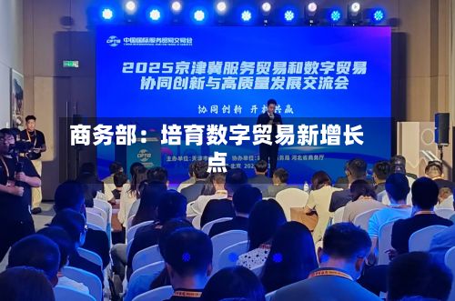 商务部：培育数字贸易新增长点-第2张图片