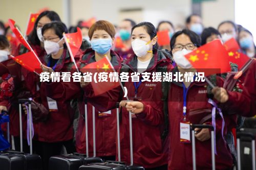 疫情看各省(疫情各省支援湖北情况)-第2张图片