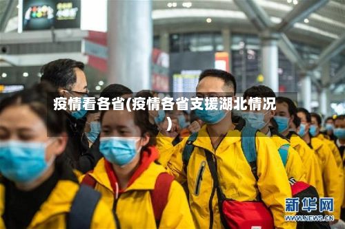 疫情看各省(疫情各省支援湖北情况)
