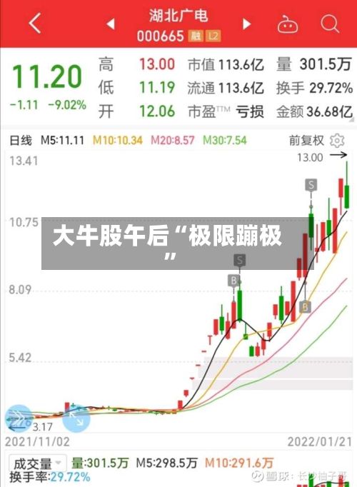 大牛股午后“极限蹦极”
