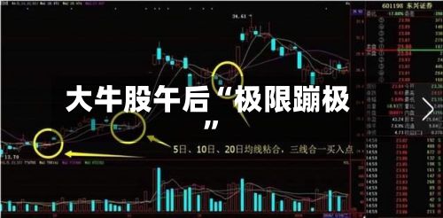 大牛股午后“极限蹦极”-第2张图片