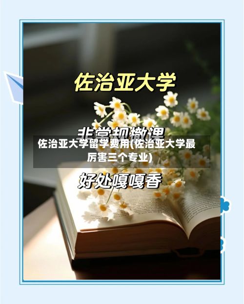 佐治亚大学留学费用(佐治亚大学最厉害三个专业)-第2张图片