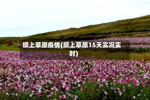 坝上草原疫情(坝上草原15天实况实时)