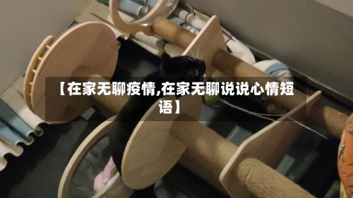 【在家无聊疫情,在家无聊说说心情短语】