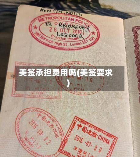 美签承担费用吗(美签要求)