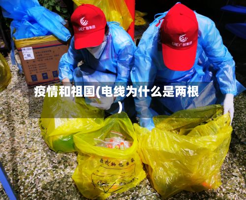 疫情和祖国(电线为什么是两根)-第3张图片