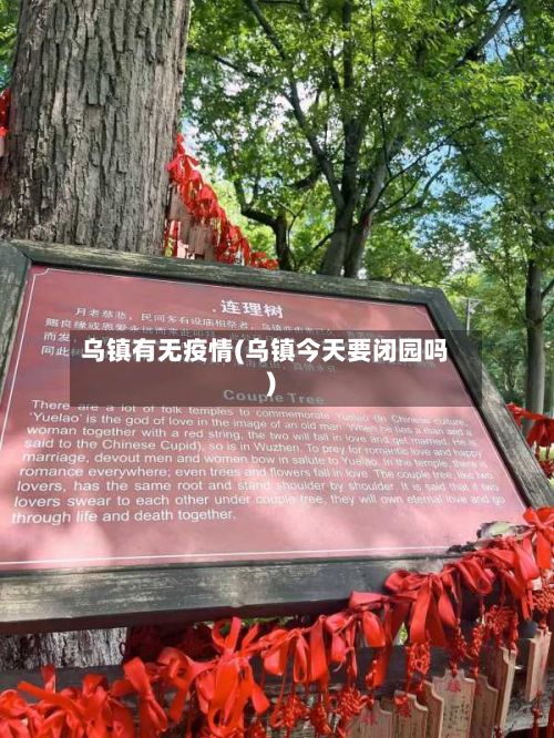 乌镇有无疫情(乌镇今天要闭园吗)-第2张图片