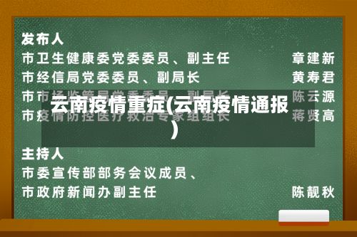 云南疫情重症(云南疫情通报)-第3张图片