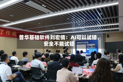 普华基础软件刘宏倩：AI可以试错，安全不能试错-第2张图片