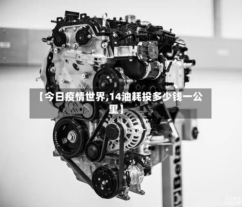 【今日疫情世界,14油耗投多少钱一公里】-第3张图片