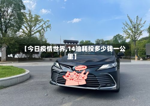 【今日疫情世界,14油耗投多少钱一公里】