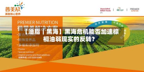 【油脂｜黑海】黑海危机能否加速棕榈油弱现实的反转？-第1张图片