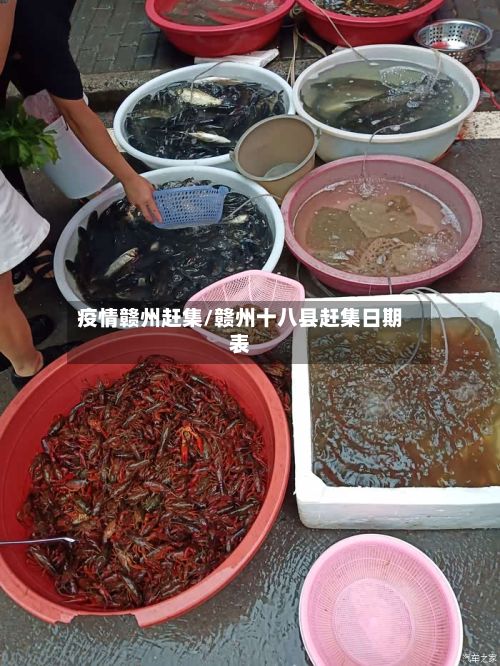 疫情赣州赶集/赣州十八县赶集日期表-第2张图片