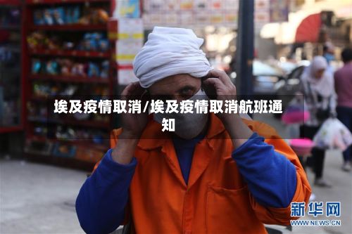 埃及疫情取消/埃及疫情取消航班通知-第3张图片
