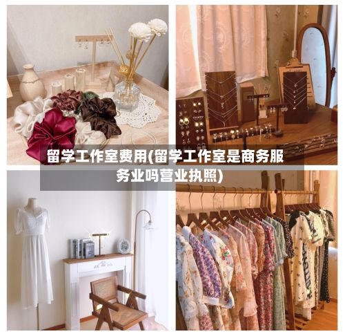 留学工作室费用(留学工作室是商务服务业吗营业执照)