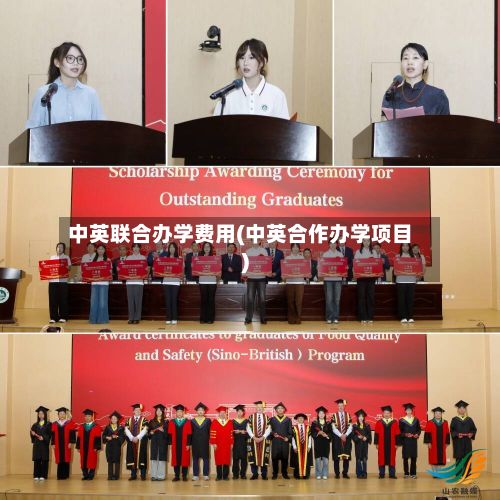 中英联合办学费用(中英合作办学项目)