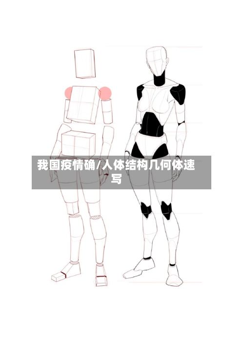 我国疫情确/人体结构几何体速写