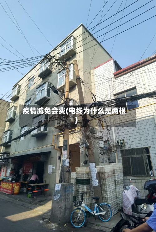 疫情减免会费(电线为什么是两根)-第2张图片