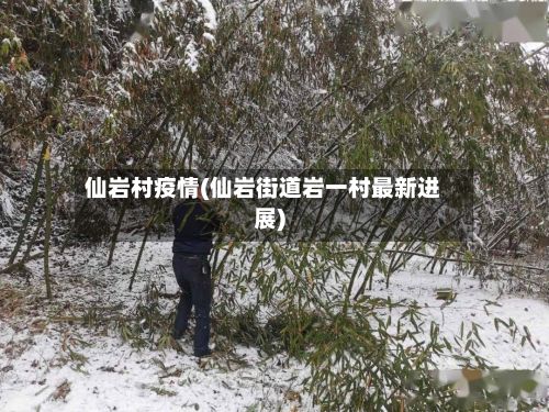 仙岩村疫情(仙岩街道岩一村最新进展)-第3张图片
