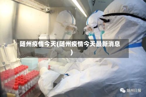 随州疫情今天(随州疫情今天最新消息)-第2张图片
