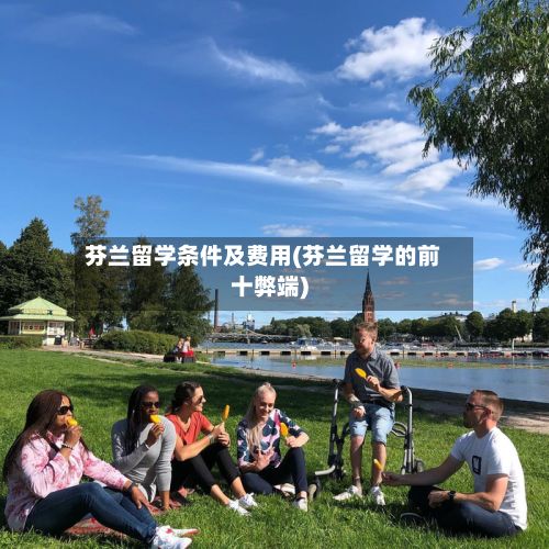 芬兰留学条件及费用(芬兰留学的前十弊端)-第2张图片