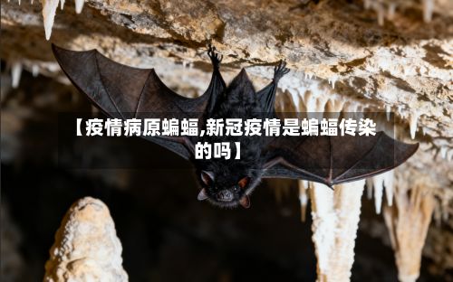 【疫情病原蝙蝠,新冠疫情是蝙蝠传染的吗】