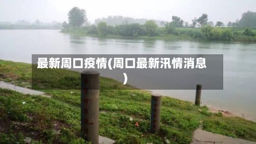 最新周口疫情(周口最新汛情消息)-第2张图片