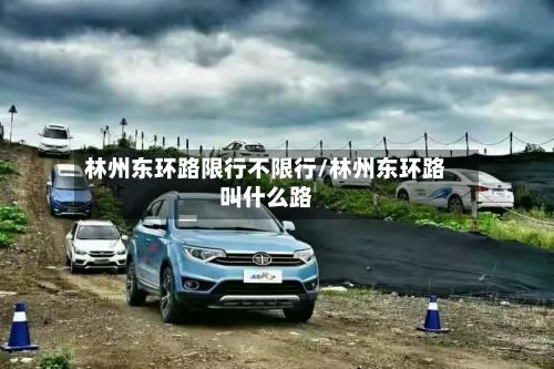 林州东环路限行不限行/林州东环路叫什么路-第2张图片