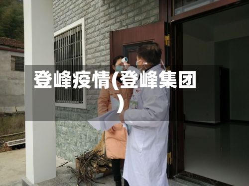 登峰疫情(登峰集团)-第2张图片