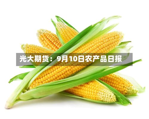 光大期货：9月10日农产品日报-第3张图片