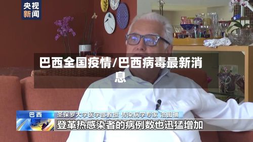巴西全国疫情/巴西病毒最新消息-第2张图片