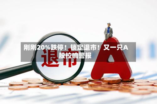 刚刚20%跌停！锁定退市！又一只A股拉响警报-第3张图片