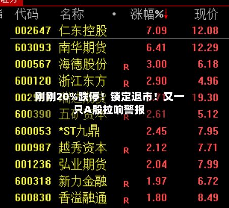 刚刚20%跌停！锁定退市！又一只A股拉响警报-第2张图片