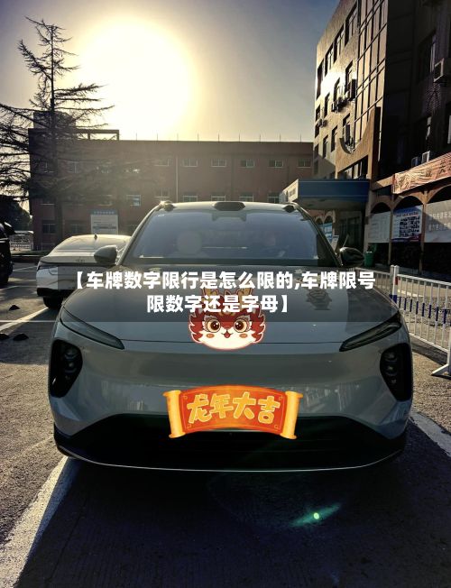 【车牌数字限行是怎么限的,车牌限号限数字还是字母】-第2张图片