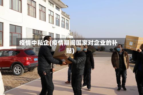 疫情中私企(疫情期间国家对企业的补贴)-第3张图片