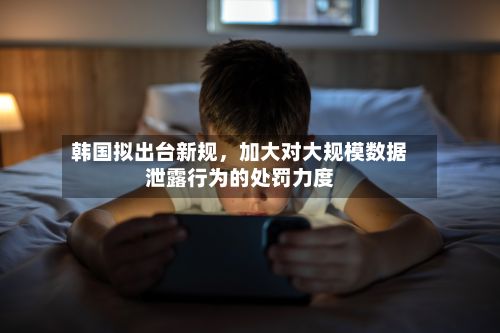 韩国拟出台新规，加大对大规模数据泄露行为的处罚力度