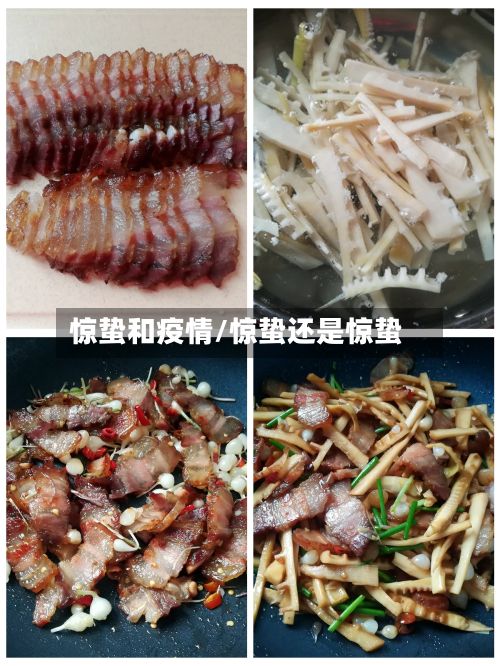 惊蛰和疫情/惊蛰还是惊蛰-第2张图片