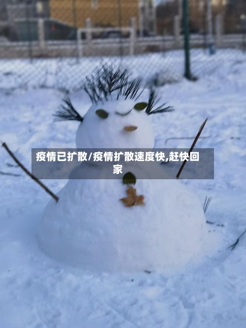 疫情已扩散/疫情扩散速度快,赶快回家
