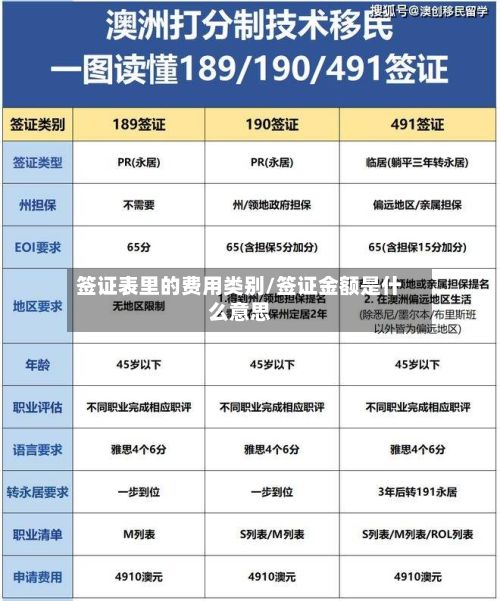 签证表里的费用类别/签证金额是什么意思-第3张图片