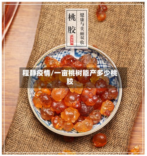 程静疫情/一亩桃树能产多少桃胶
