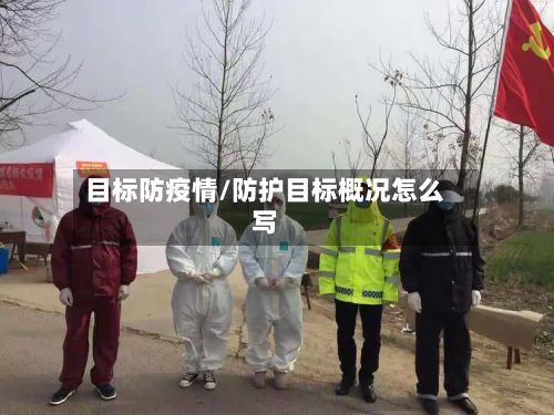 目标防疫情/防护目标概况怎么写