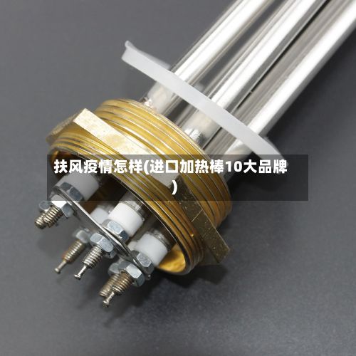 扶风疫情怎样(进口加热棒10大品牌)