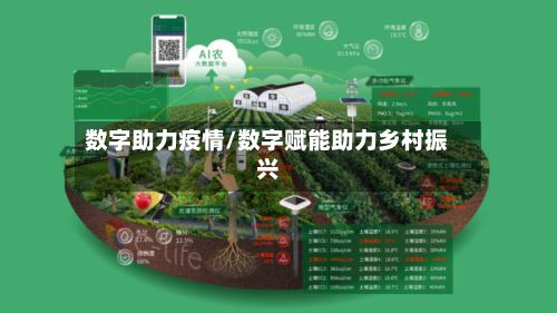 数字助力疫情/数字赋能助力乡村振兴