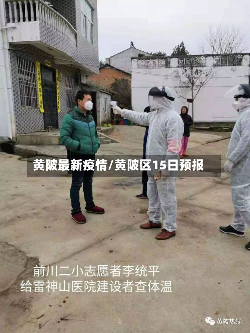 黄陂最新疫情/黄陂区15日预报-第2张图片