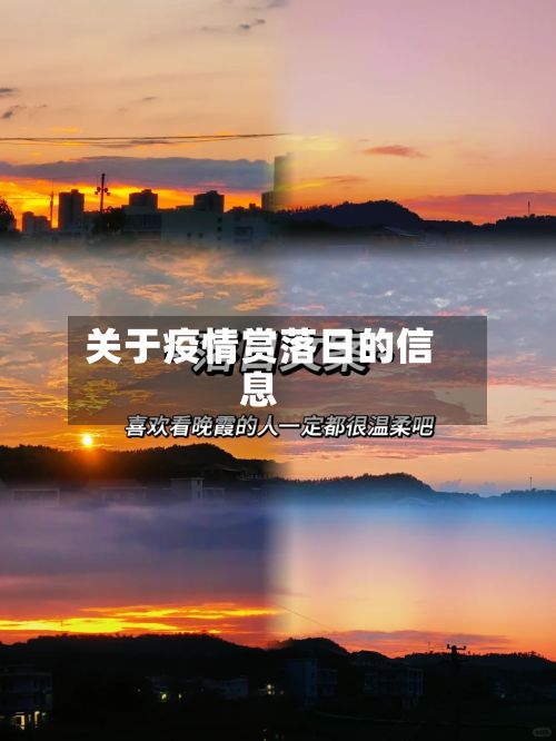 关于疫情赏落日的信息