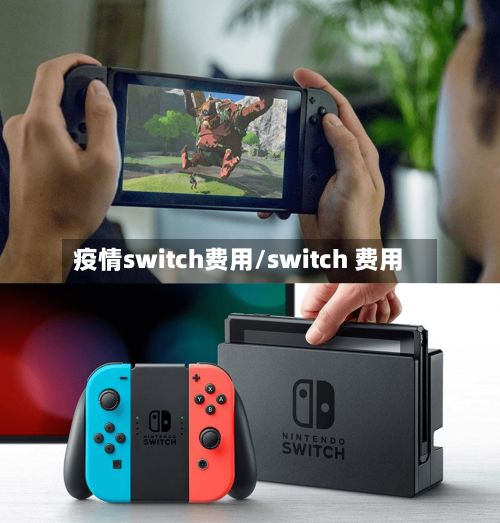 疫情switch费用/switch 费用