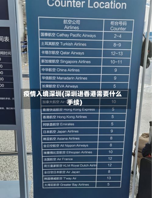 疫情入境深圳(深圳进香港需要什么手续)-第2张图片